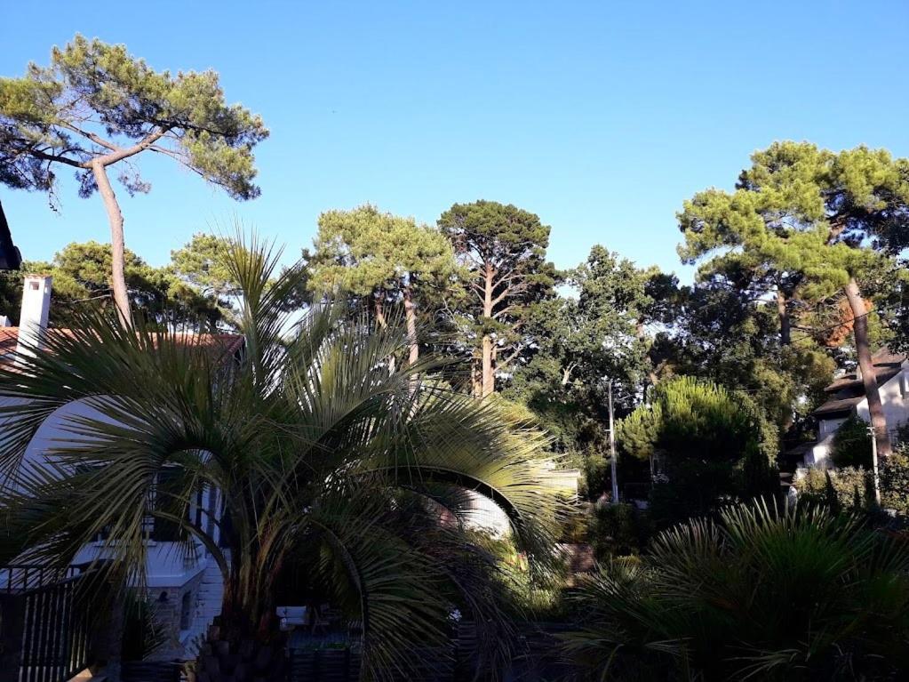 Belle De Dune La Baule-Escoublac Zewnętrze zdjęcie